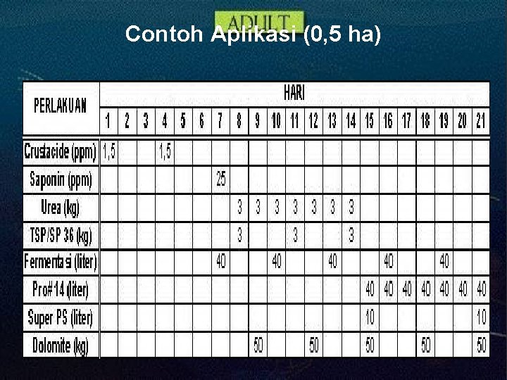 Contoh Aplikasi (0, 5 ha) 