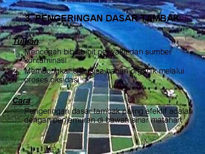 3. PENGERINGAN DASAR TAMBAK Tujuan 1. Mencegah bibit-bibit penyakit dan sumber kontaminasi 2. Membongkar