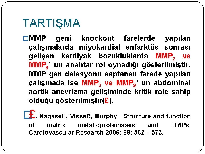 TARTIŞMA �MMP geni knockout farelerde yapılan çalışmalarda miyokardial enfarktüs sonrası gelişen kardiyak bozukluklarda MMP