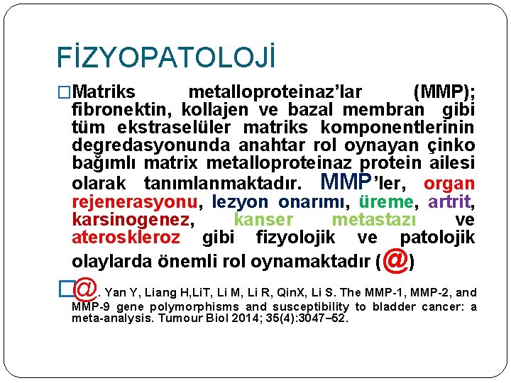 FİZYOPATOLOJİ �Matriks metalloproteinaz’lar (MMP); fibronektin, kollajen ve bazal membran gibi tüm ekstraselüler matriks komponentlerinin