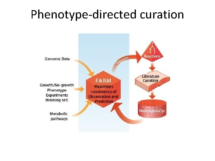 Phenotype-directed curation 