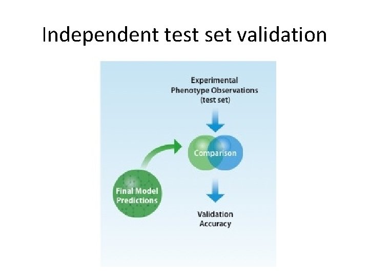 Independent test set validation 