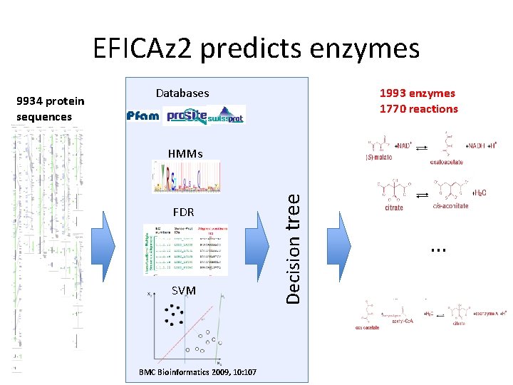 EFICAz 2 predicts enzymes Databases 1993 enzymes 1770 reactions HMMs FDR SVM BMC Bioinformatics