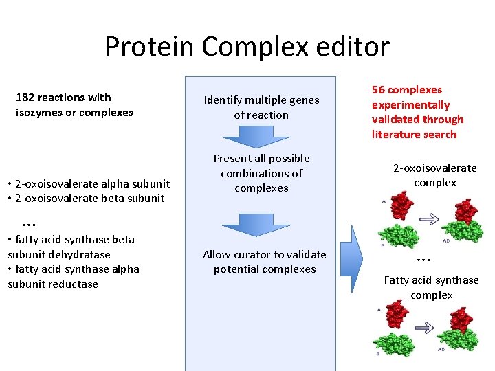 Protein Complex editor 182 reactions with isozymes or complexes • 2 -oxoisovalerate alpha subunit