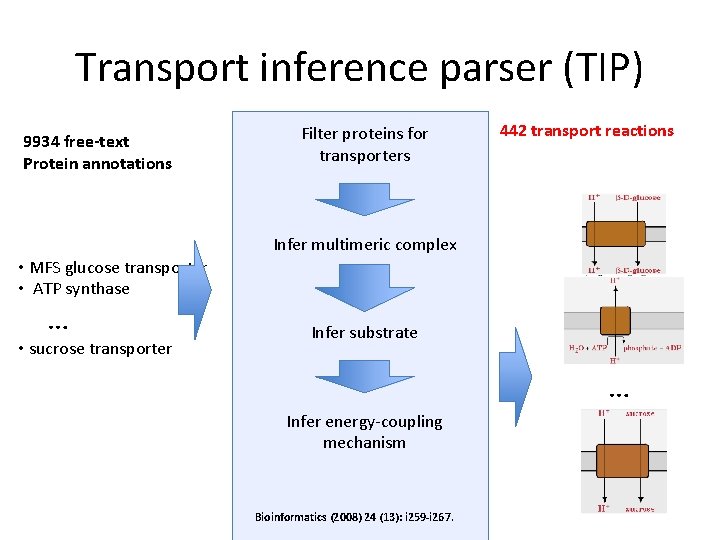 Transport inference parser (TIP) 9934 free-text Protein annotations Filter proteins for transporters 442 transport