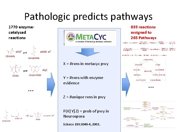 Pathologic predicts pathways 1770 enzymecatalyzed reactions 893 reactions assigned to 265 Pathways X =