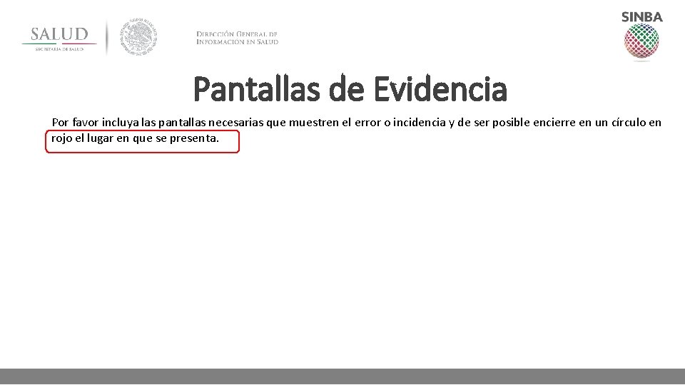 Pantallas de Evidencia Por favor incluya las pantallas necesarias que muestren el error o