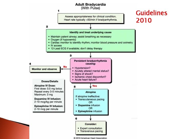 Guidelines 2010 