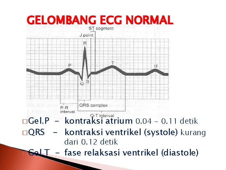 GELOMBANG ECG NORMAL � Gel. P - kontraksi atrium 0. 04 - 0. 11