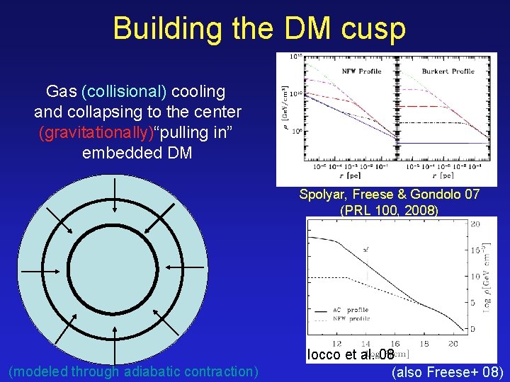 Building the DM cusp Gas (collisional) cooling and collapsing to the center (gravitationally)“pulling in”