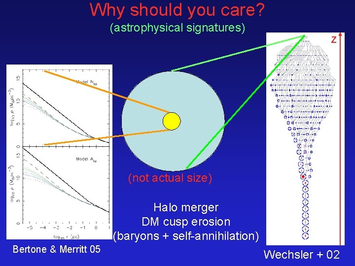 Why should you care? (astrophysical signatures) z (not actual size) Halo merger DM cusp