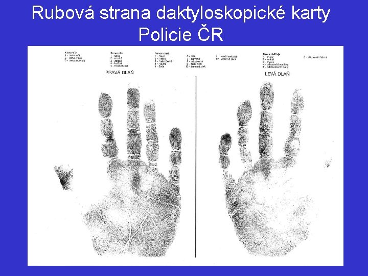 Rubová strana daktyloskopické karty Policie ČR 