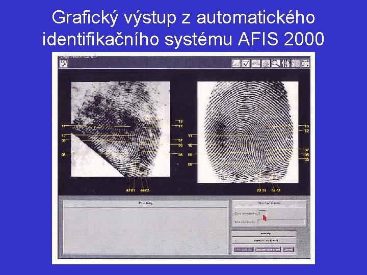 Grafický výstup z automatického identifikačního systému AFIS 2000 