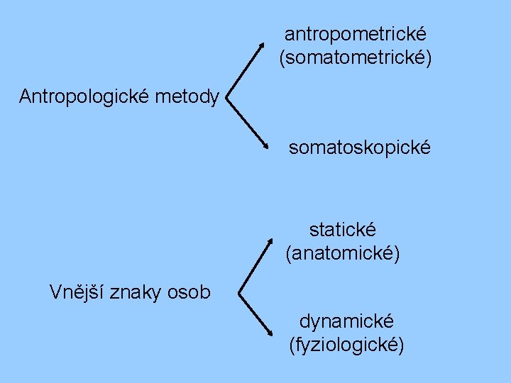 antropometrické (somatometrické) Antropologické metody somatoskopické statické (anatomické) Vnější znaky osob dynamické (fyziologické) 