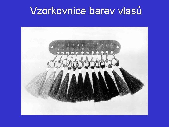 Vzorkovnice barev vlasů 