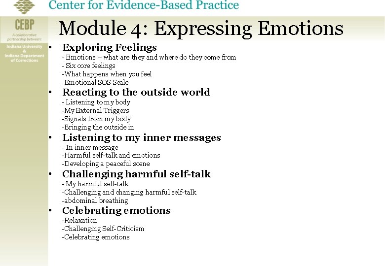 Module 4: Expressing Emotions • Exploring Feelings - Emotions – what are they and