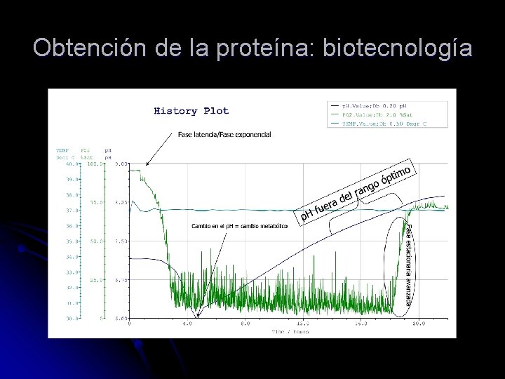 Obtención de la proteína: biotecnología 