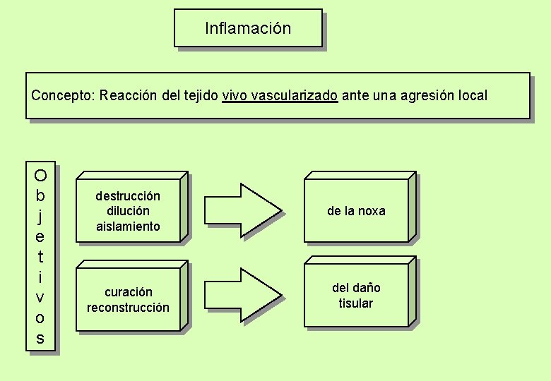 Inflamación Concepto: Reacción del tejido vivo vascularizado ante una agresión local O b j