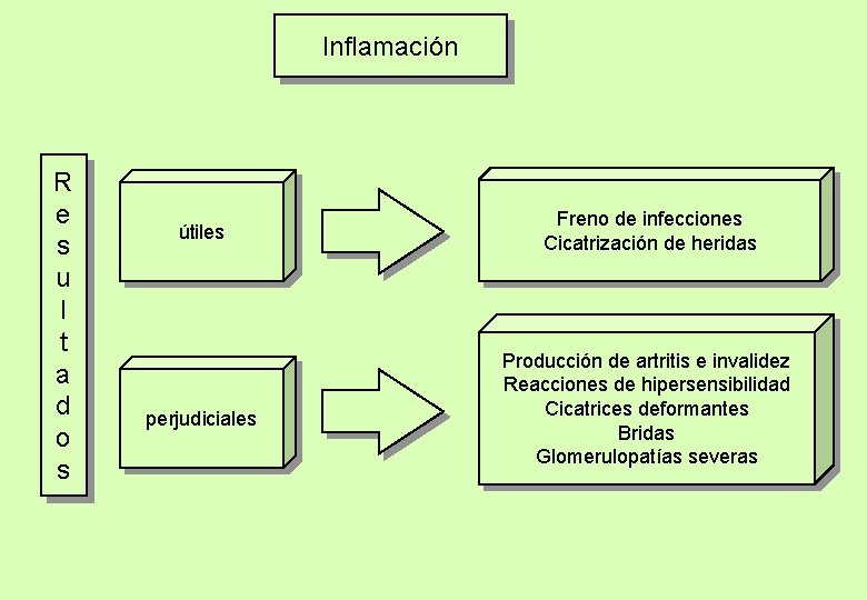 Inflamación R e s u l t a d o s útiles perjudiciales Freno