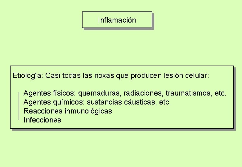 Inflamación Etiología: Casi todas las noxas que producen lesión celular: Agentes físicos: quemaduras, radiaciones,