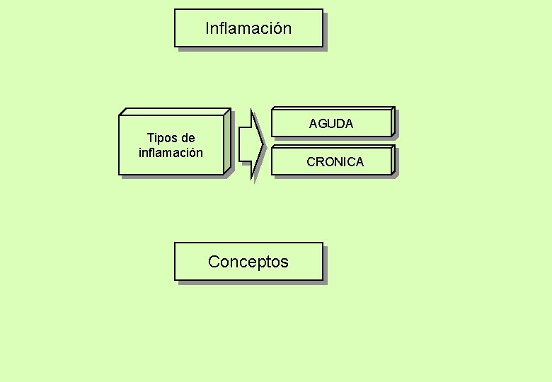 Inflamación AGUDA Tipos de inflamación CRONICA Conceptos 