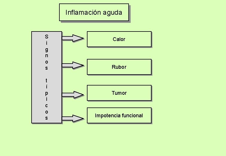 Inflamación aguda S i g n o s t í p i c o