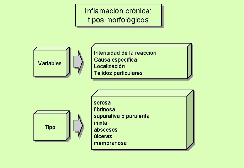 Inflamación crónica: tipos morfológicos Variables Tipo Intensidad de la reacción Causa específica Localización Tejidos