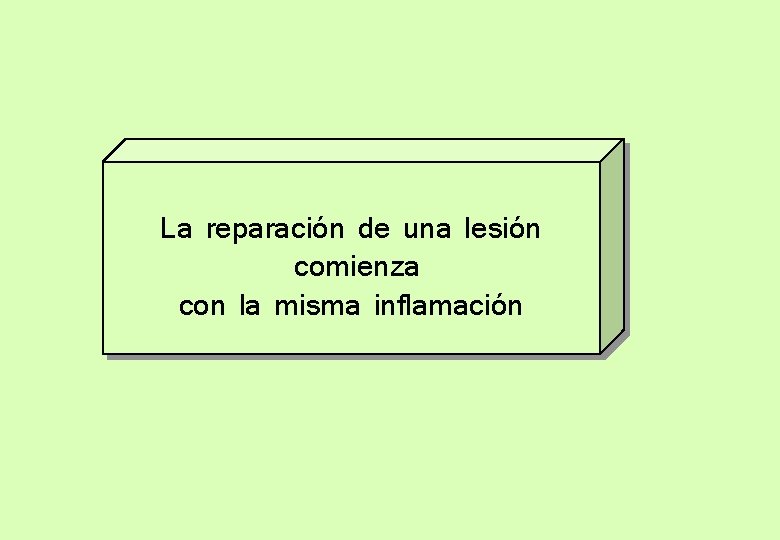 La reparación de una lesión comienza con la misma inflamación 