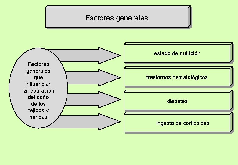 Factores generales estado de nutrición Factores generales que influencian la reparación del daño de