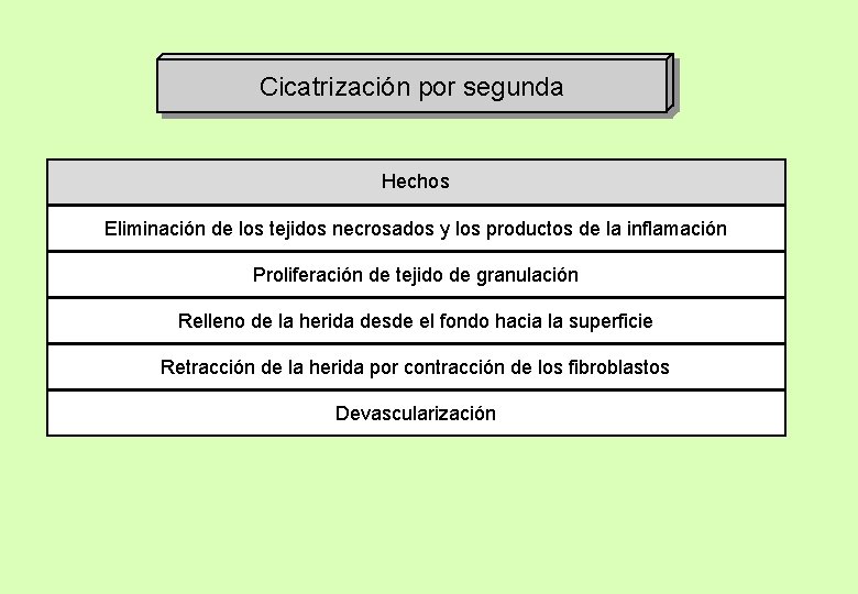 Cicatrización por segunda Hechos Eliminación de los tejidos necrosados y los productos de la