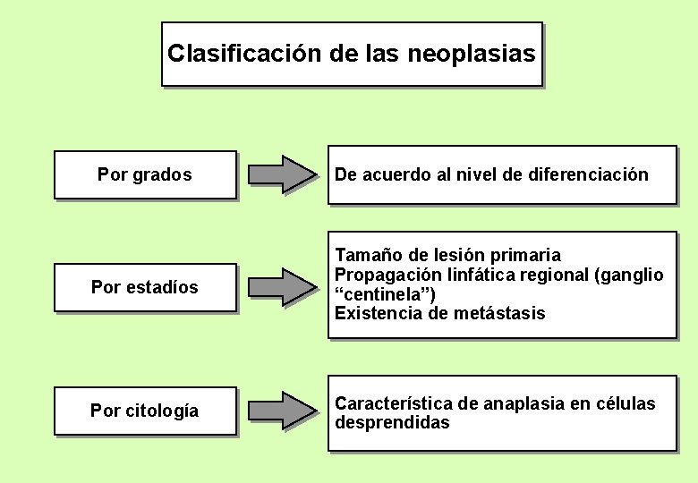 Clasificación de las neoplasias Por grados De acuerdo al nivel de diferenciación Por estadíos