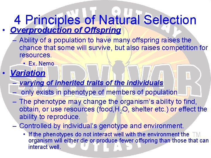 4 Principles of Natural Selection • Overproduction of Offspring – Ability of a population