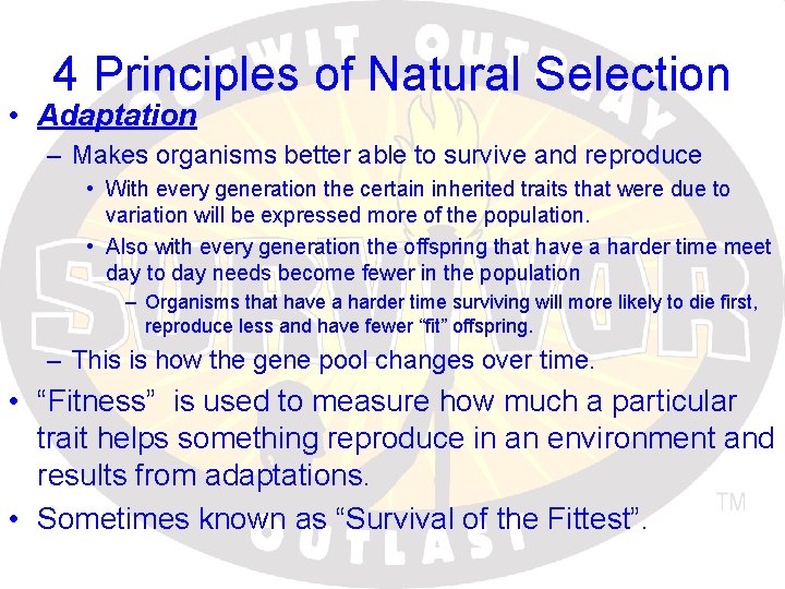 4 Principles of Natural Selection • Adaptation – Makes organisms better able to survive