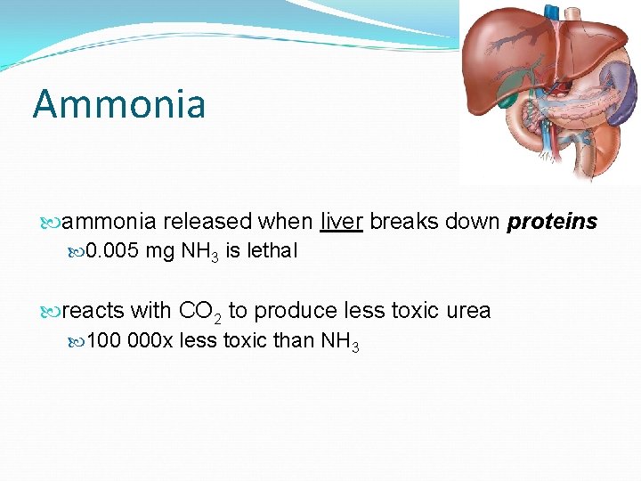 Ammonia ammonia released when liver breaks down proteins 0. 005 mg NH 3 is