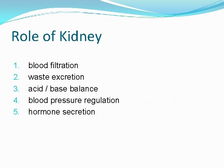 Role of Kidney 1. 2. 3. 4. 5. blood filtration waste excretion acid /