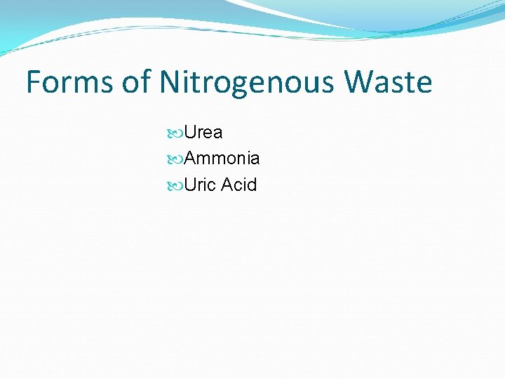 Forms of Nitrogenous Waste Urea Ammonia Uric Acid 