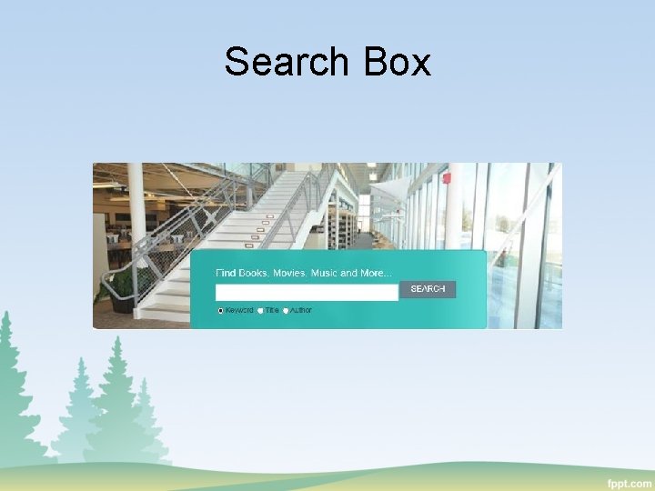 Search Box 