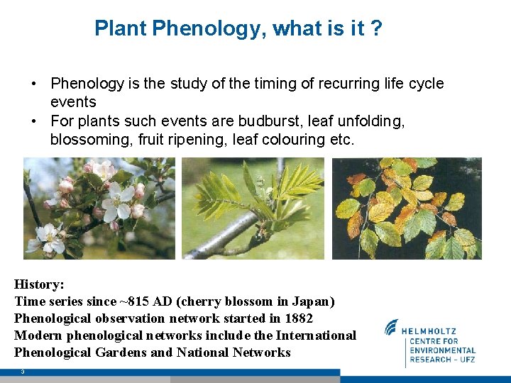 Plant Phenology, what is it ? • Phenology is the study of the timing