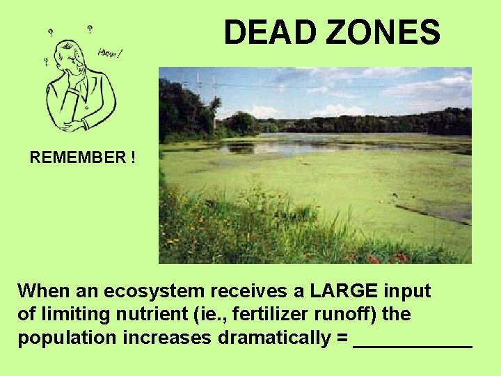 DEAD ZONES REMEMBER ! When an ecosystem receives a LARGE input of limiting nutrient