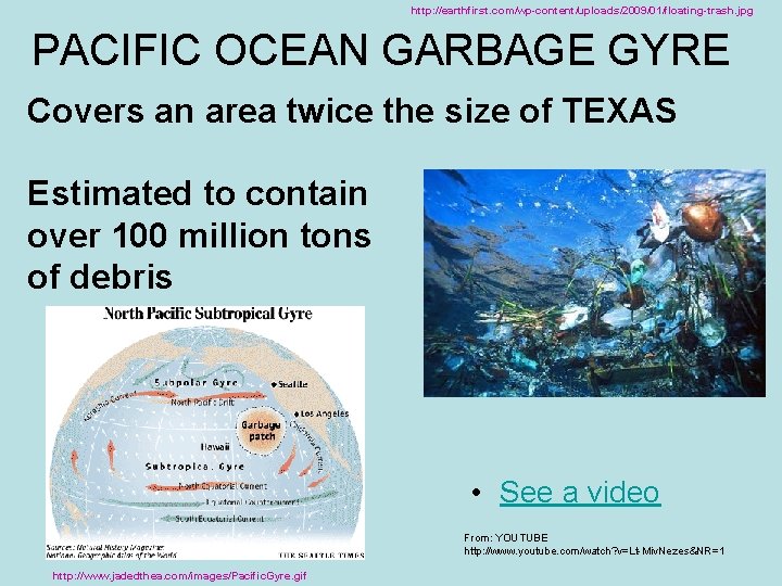http: //earthfirst. com/wp-content/uploads/2009/01/floating-trash. jpg PACIFIC OCEAN GARBAGE GYRE Covers an area twice the size
