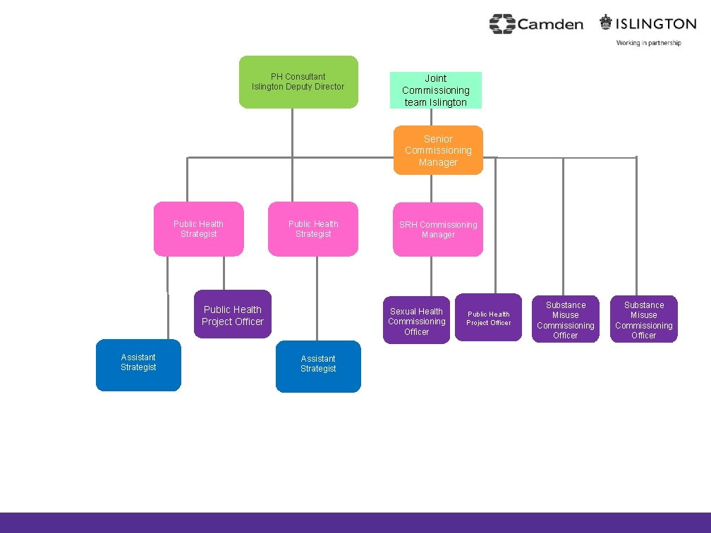 PH Consultant Islington Deputy Director Joint Commissioning team Islington Senior Commissioning Manager Public Health