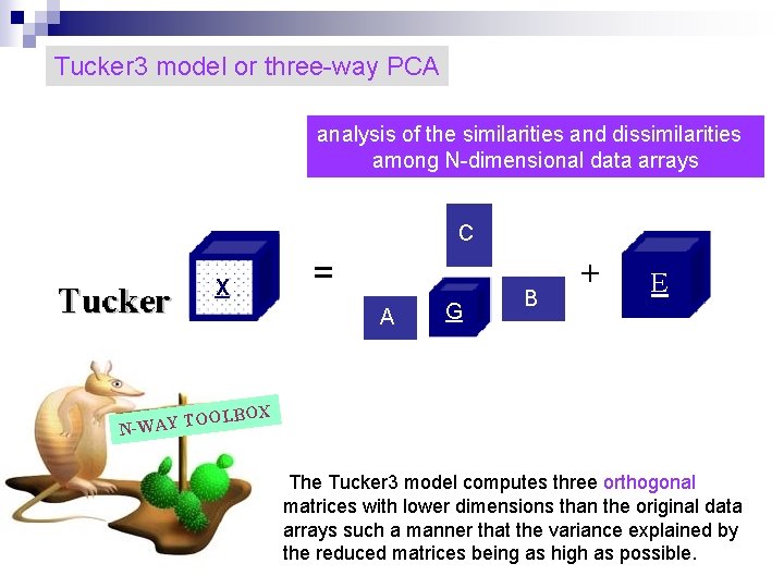 Tucker 3 model or three-way PCA analysis of the similarities and dissimilarities among N-dimensional