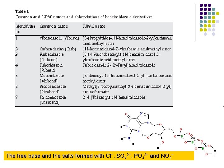 The free base and the salts formed with Cl−, SO 42−, PO 43− and