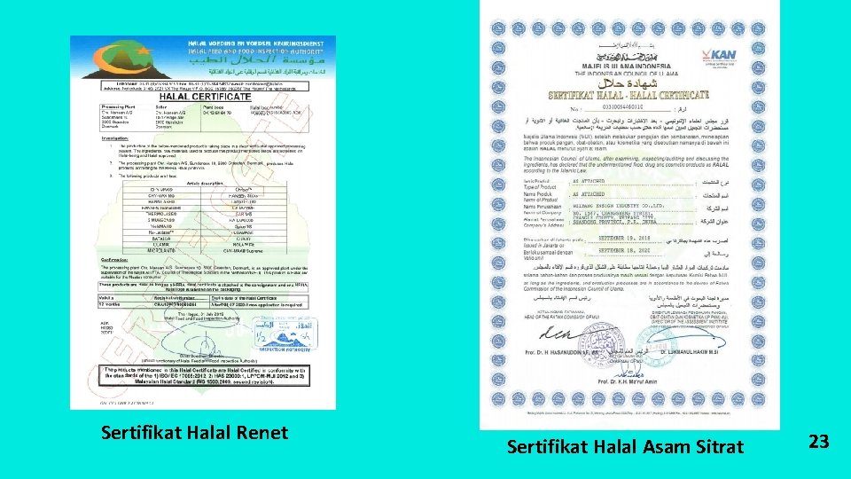 Sertifikat Halal Renet Sertifikat Halal Asam Sitrat 23 