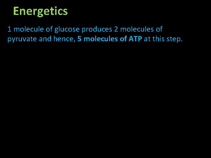 Energetics 1 molecule of glucose produces 2 molecules of pyruvate and hence, 5 molecules