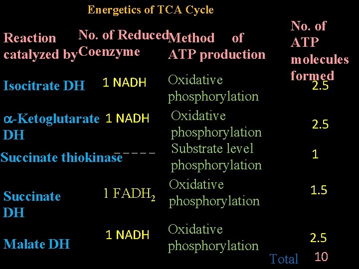  Energetics of TCA Cycle Reaction No. of Reduced Method of catalyzed by Coenzyme