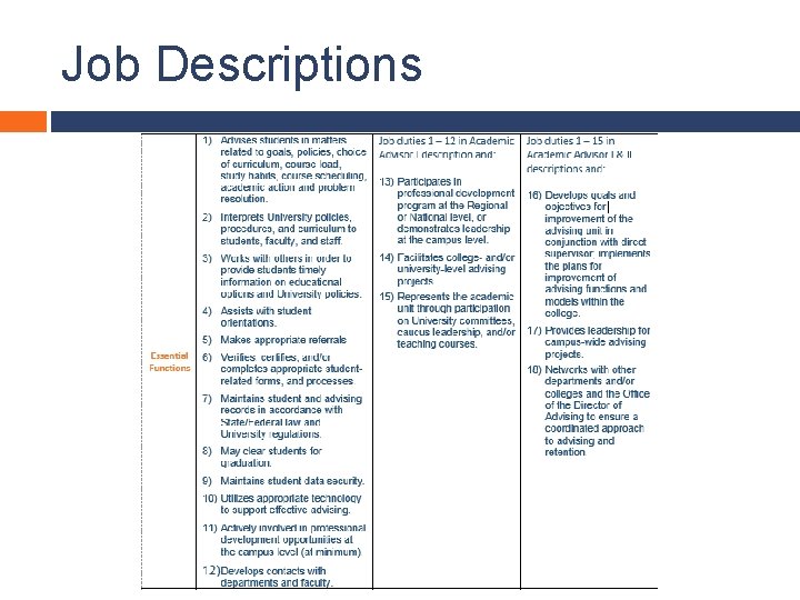Job Descriptions 