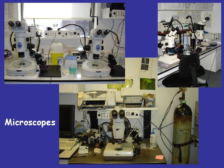 Microscopes 