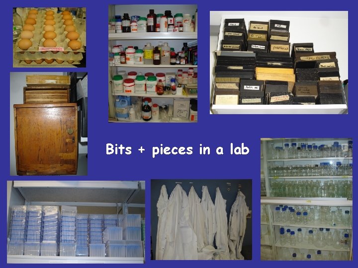 Bits + pieces in a lab 