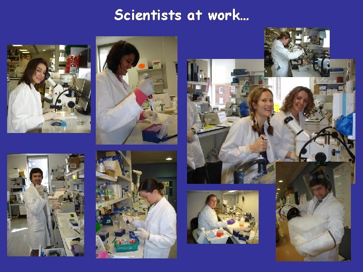 Scientists at work… 